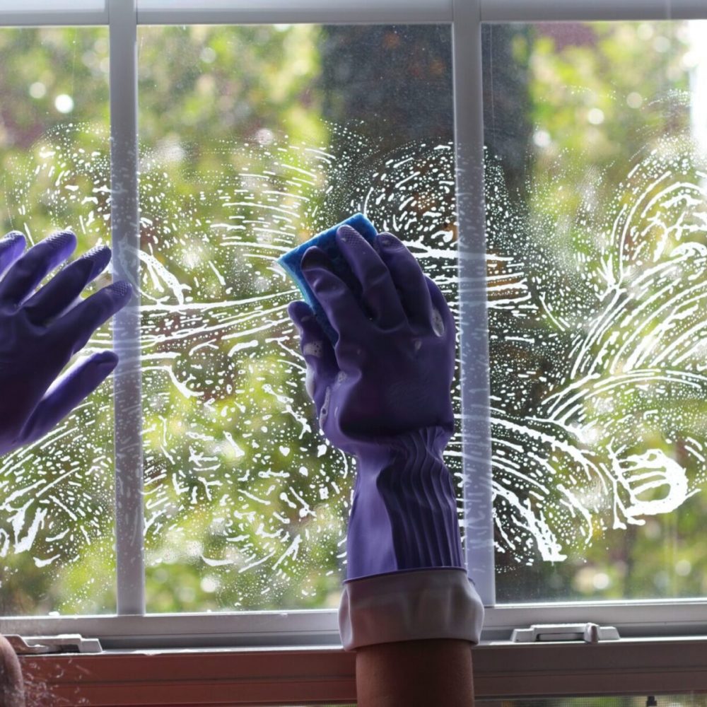 spring-cleaning-and-chores-2024-12-06-23-19-08-utc